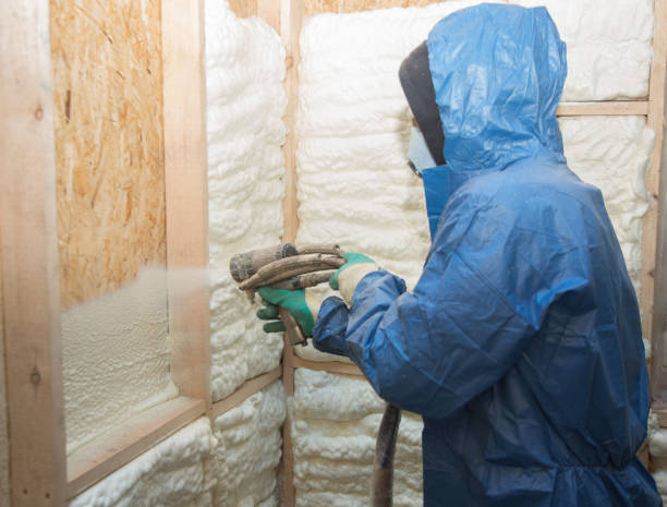 Professional Insulation in Kirbyville, TX